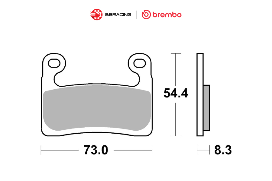 Bố Thắng Brembo BMW S1000 RR 2019-22 (Hayes) - Trước 07GR90LA