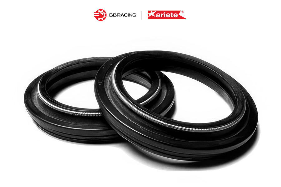 Phốt Dầu Ariete DC4Y 48 x 57,91 x  9,5/11,5
